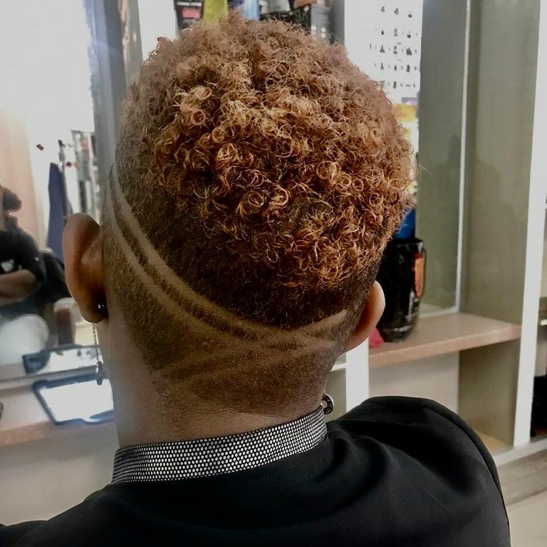 Curly top with tapered fade